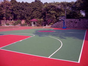 六安硅pu塑膠球場施工廠家