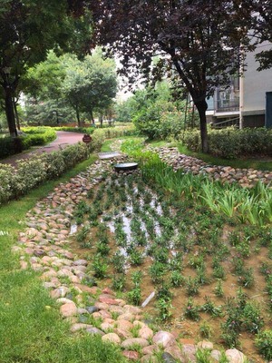 提高海綿城市建設工程質量青島市舉辦施工人員培訓會|半島網