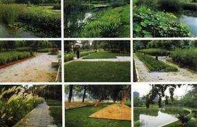 各種綠化、景觀鋪裝工程的設(shè)計與施工,園林綠化工程的養(yǎng)護;園林綠化苗木、草皮、花卉的種植,銷售(廣西南寧)_CO土木在線