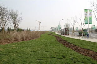 查漏補缺 ,讓環境景觀更綠色 更自然