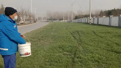 勤梳妝 綠護忙 四招聚力園林綠化精細化管養與工程施工